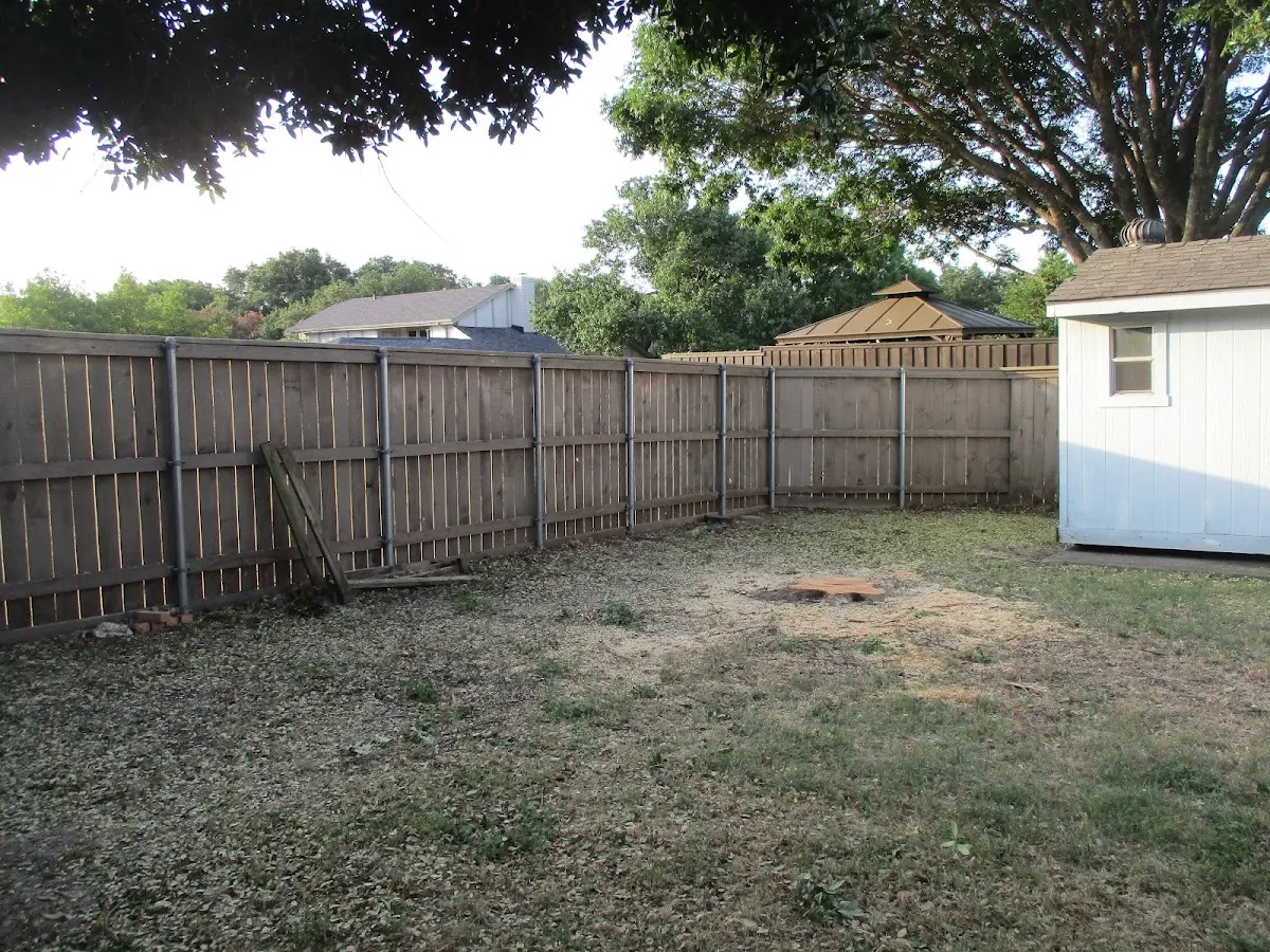 Cleared yard after professional tree removal in Maquoketa